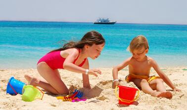 沙子、泥巴和虫子