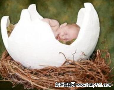 �ӹ�����̥������Ĺ���