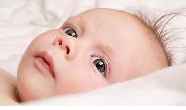 ��������ι�� ���������С״��