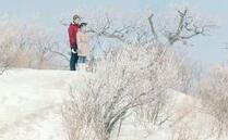  ��������ĸ�׵�ʫ�� 