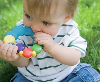 ����С��������԰ָ��