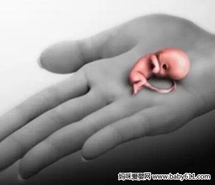 �����������Ļ���