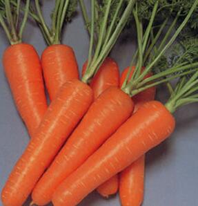 8�ֺ�ʳ��Գ�Ư��С����