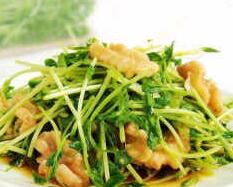 ���������㶹��