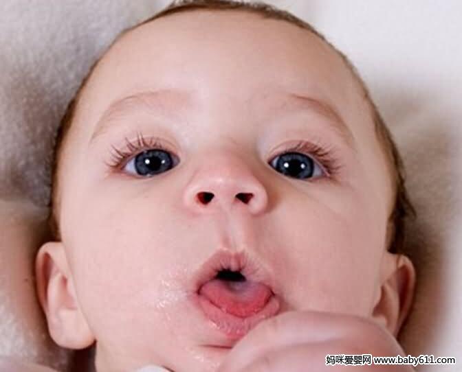 ̥����̥�����������