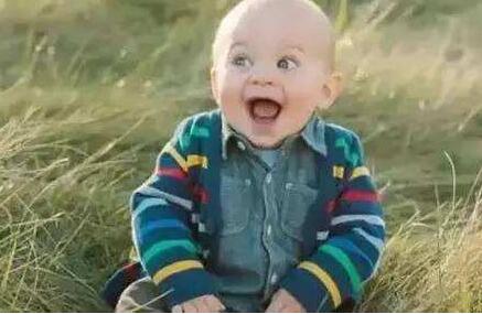 ����С�����������ֲ���Ϸ