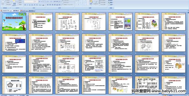 ֲ���ϸ������֯