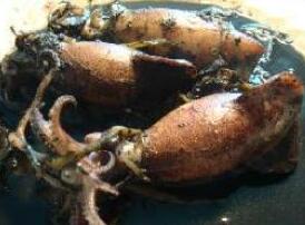 ���㽪˿��С��