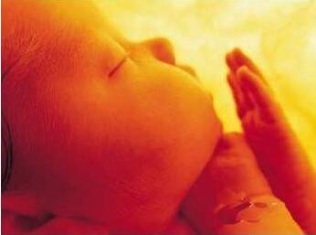 ��֪��ʲô�ǹ���̥����