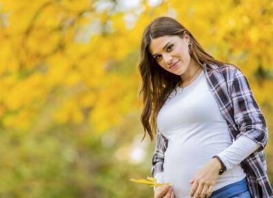 ���г���������̥�ź�