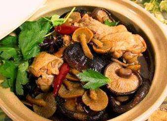 ��ͯʳ�׼��ࣺС����Ģ��