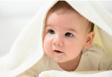 ����ູ�ѵ��º�������Ⱦ