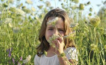 �׶��ļ����� �ҳ���ע�����Ҫ��