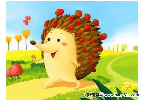 小刺猬迷路的故事