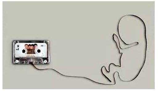 ����˼�飺����̥�����������ܾ�Ȼ��...... 