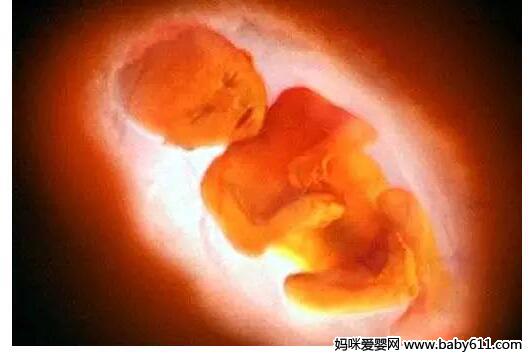 ����˼�飺����̥�����������ܾ�Ȼ��...... 