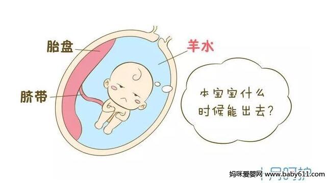 胎儿健康,羊水多少才合适?如何区别羊水和尿液?