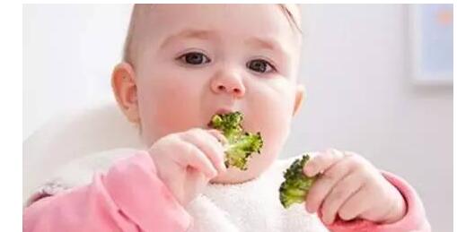 宝宝辅食饮食营养搭配注意事项,爸爸妈妈可以参考一下