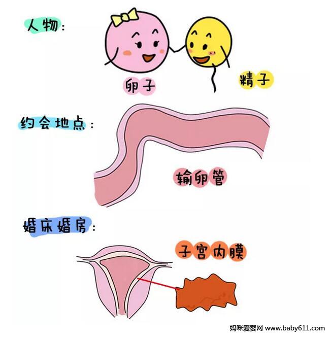备孕的3个奇葩误区,你中招了吗?