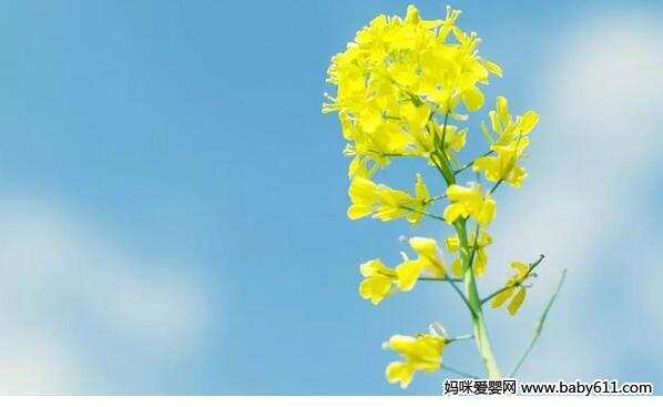 如何帮助孩子纠正不良生活习惯!很实用!