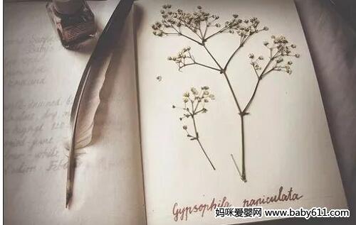 新手爸妈宝典:准父母们应该如何进行胎教?