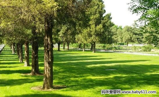 环境胎教知多少,风景优美心情好