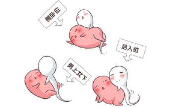 ���������1��igg