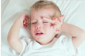 �������������Ʒ���