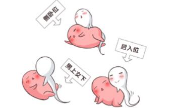 �и�����͸