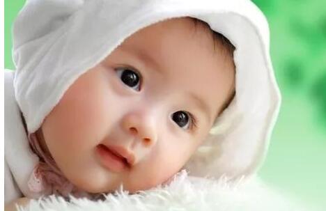 1-2岁幼儿早教训练法