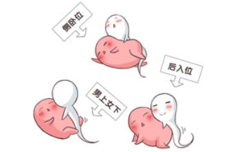 白带常规检查白细胞