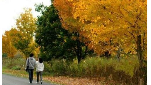 这2点做不对 不利于胎儿健康发育