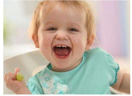 ��ɫ������������������