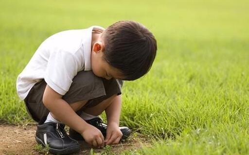 ��ν������Եı�����