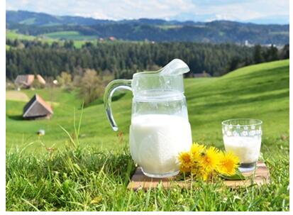 �и��̷����ѡ��