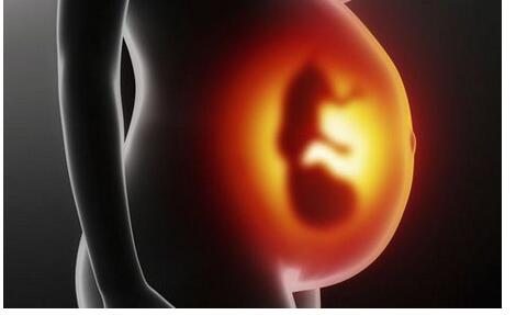 孕期胎儿健全聪明的大脑是如何发育的?