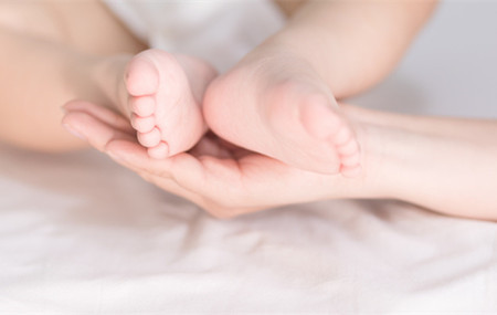 2019�����б���������ȫ