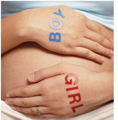 生男生女由谁决定?有哪些因素呢