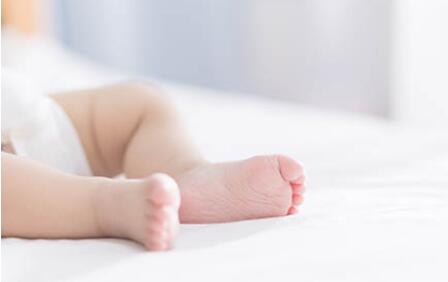 �������������Ԥ���ͻ���