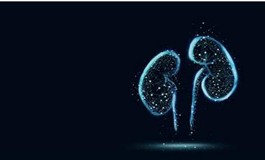 怀孕后你有进行艺术胎教吗?