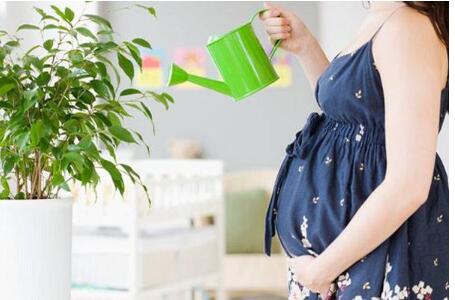 孕妇如何避免空气污染对自身的伤害?