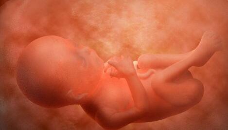 ̥���ĸйٷ�������