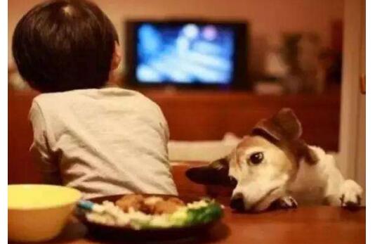 孩子3岁之前 绝对不能吓唬威胁