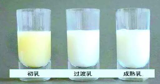 母乳喂养你可能不知道的5件事