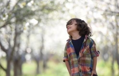 �������������̬�ĺ���