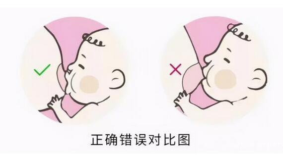 关于母乳喂养,你一定要了解