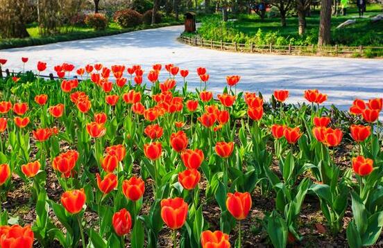 幼儿智力开发,认识色彩很关键