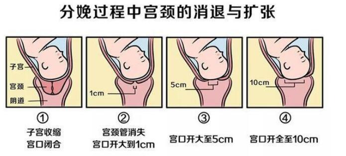 �����ڣ�����ʿ��˵�ļ��仰����������һ��Ҫ����