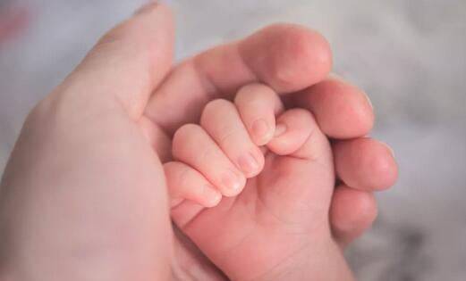 ����������֪ʶ��ȫ�����������80%�������������� 