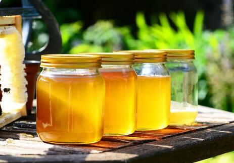 0-6�걦����ʳ����ָ�ϣ� 